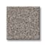 Graysdale Path Pavestone Texture Carpet swatch